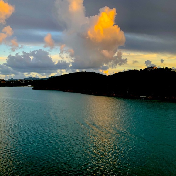 Meet your Posher, Cath - Picture 1 of 1